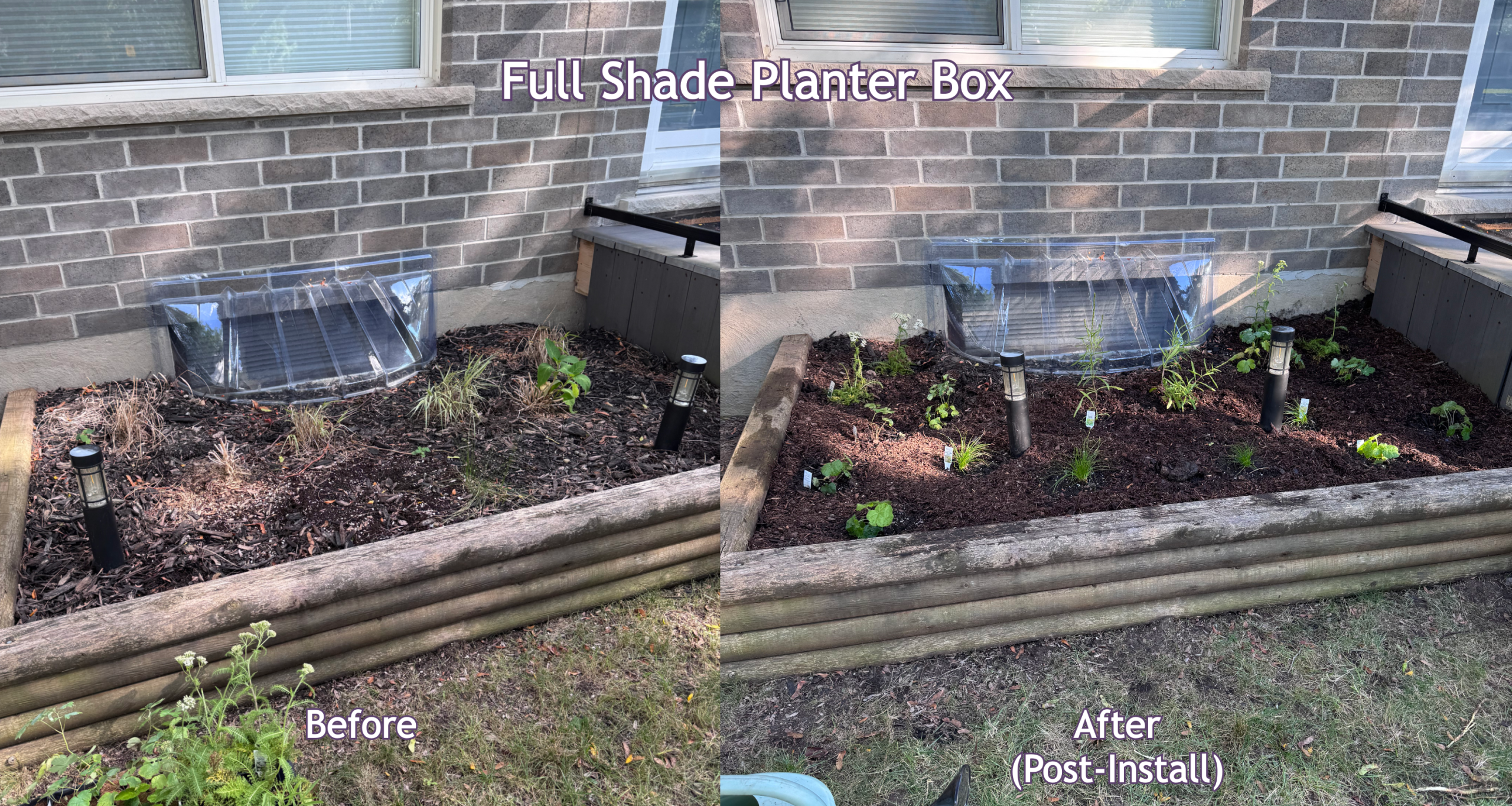 full shade planter